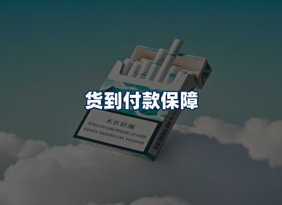 专业团队办公环境