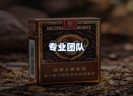 专业团队